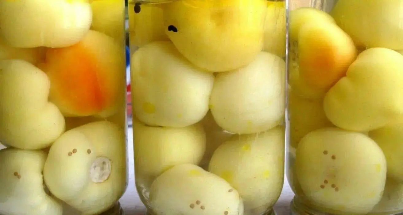 Alma Spice Paprika Pepper,  Capsicum annuum   easy-to-grow and process! - Caribbean garden seed