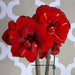 Amaryllis ‘Double King’ (BULBS)  FLOWERS,GREAT GIFT - Caribbean garden seed