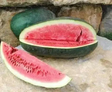 Ancient Watermelon seeds, VINE - Caribbean garden seed