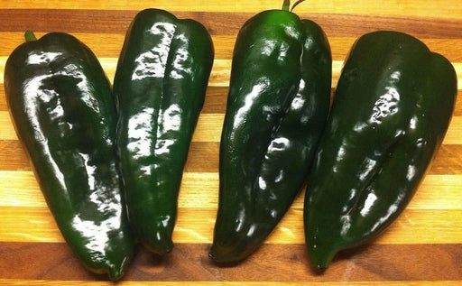 ANCHO POBLANO  pepper seeds(Capsicum annuum) - Caribbean garden seed