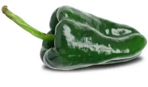 ANCHO POBLANO  pepper seeds(Capsicum annuum) - Caribbean garden seed