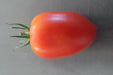 Amish paste Tomato Seeds, Heirloom, Open Pollinated Indeterminate - Caribbean garden seed