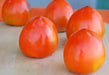 Asian Persimmon  Seeds , Fruit Tree Shrub ! - Caribbean garden seed