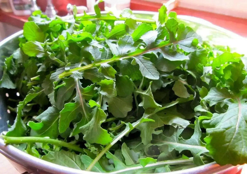 ARUGULA ROQUETTE ,ORGANIC Non GMO SEED,MAKE GREAT SALADS ! - Caribbean garden seed