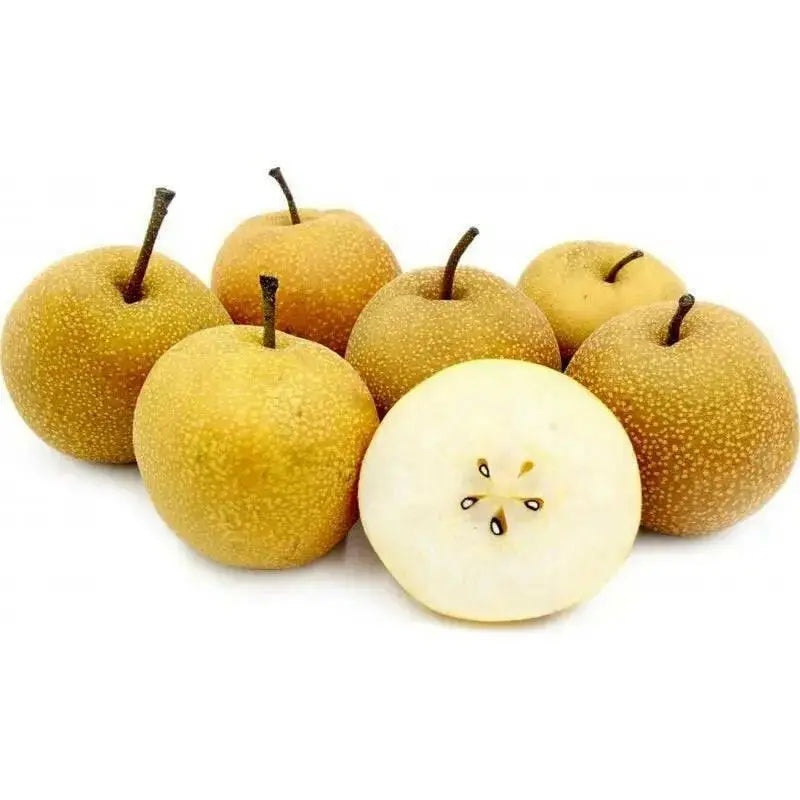 ASIAN PEAR tree seeds, Hardy FRUIT TREE - Caribbean garden seed