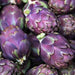Artichoke Purple Romagna -  Perennial vegetable - Caribbean garden seed