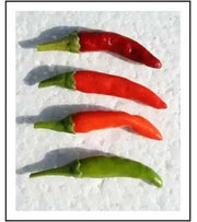 Assam Hot Pepper Seeds - (Capiscum annuum) A variety from India - Caribbean garden seed