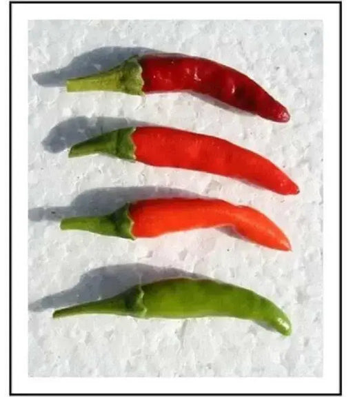 Assam Hot Pepper Seeds - (Capiscum annuum) A variety from India - Caribbean garden seed