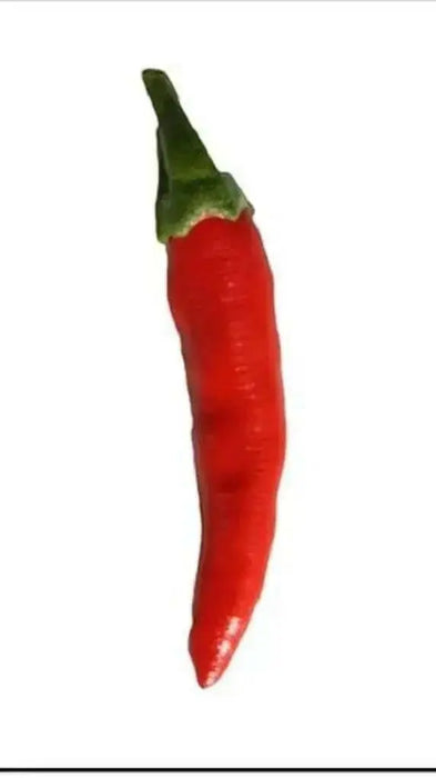 Assam Hot Pepper Seeds - (Capiscum annuum) A variety from India - Caribbean garden seed