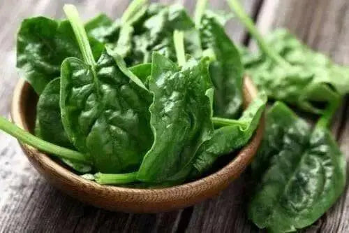 Avon Spinach Seed, annual vegetable - Caribbean garden seed