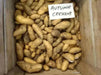 Austrian Crescent  FINGERLING POTATO . - Caribbean garden seed