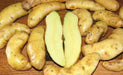 Austrian Crescent  FINGERLING POTATO . - Caribbean garden seed