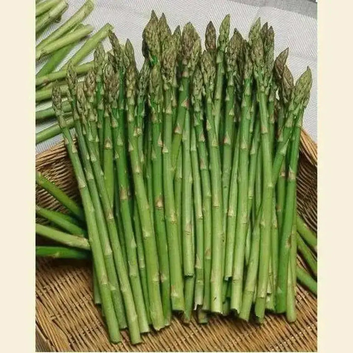 ASPARAGUS SEEDS, (Mary Washington ) Heirloom Vegetable ,Perennial - Caribbean garden seed