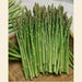 ASPARAGUS SEEDS, (Mary Washington ) Heirloom Vegetable ,Perennial - Caribbean garden seed