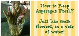 ASPARAGUS SEEDS, (Mary Washington ) Heirloom Vegetable ,Perennial - Caribbean garden seed