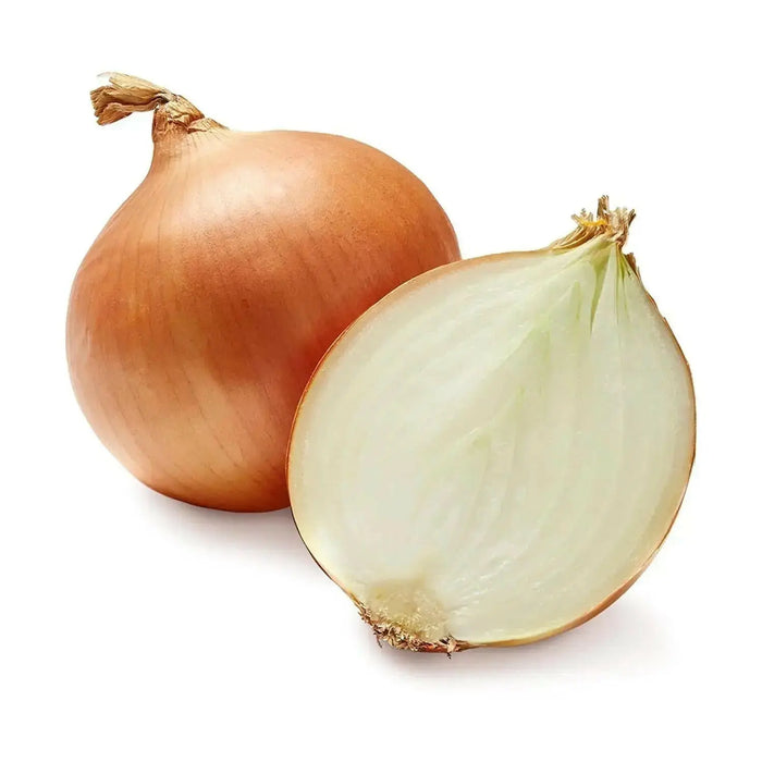 Australian brown onions  Seed,Onion,Allium cepa. - Caribbean garden seed