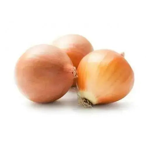 Australian brown onions  Seed,Onion,Allium cepa. - Caribbean garden seed