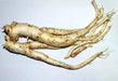 Balloon Flowers, ginseng ,Bell Flower,Grown in China, Korea, Japan, asian Vegetables - Caribbean garden seed
