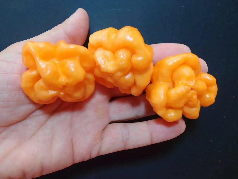 Bahamian Goat ,pepper seed - Capsicum chinense - Caribbean garden seed