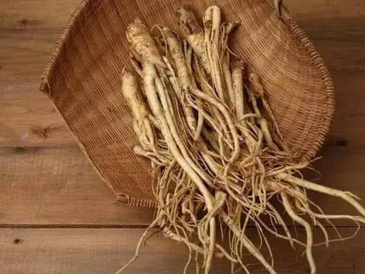 Balloon Flower Seeds - Blue, Platycodon Grandiflorus , Asian Vegetable - Caribbean garden seed