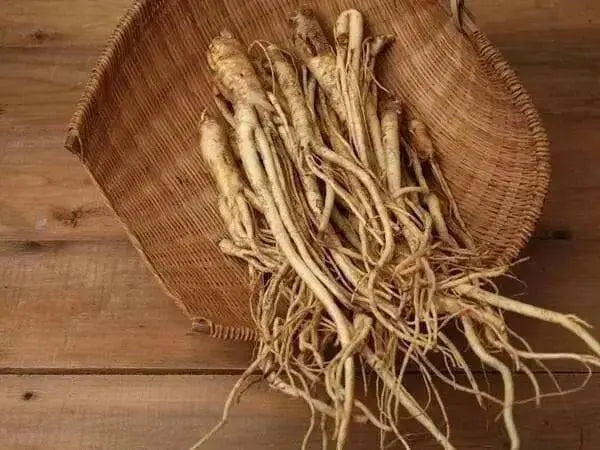 Balloon Flower Seeds - Blue, Platycodon Grandiflorus , Asian Vegetable - Caribbean garden seed