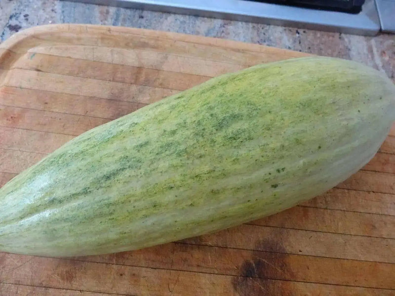 Banana Melon Seeds - vine vegetable - Caribbean garden seed