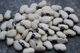 Bean Seeds (POLE Lima) Alabama Black Eye - Caribbean garden seed
