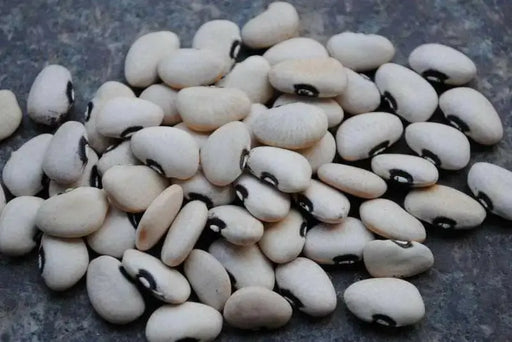 Bean Seeds (POLE Lima) Alabama Black Eye - Caribbean garden seed