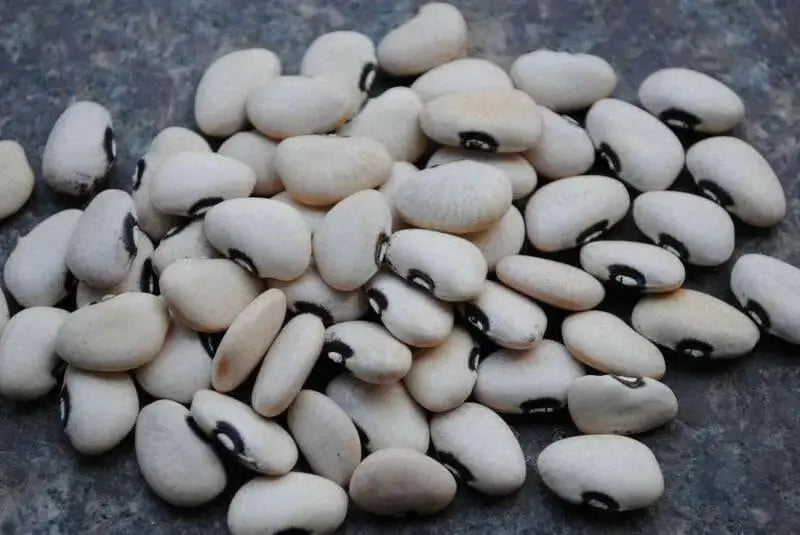 Bean Seeds (POLE Lima) Alabama Black Eye - Caribbean garden seed