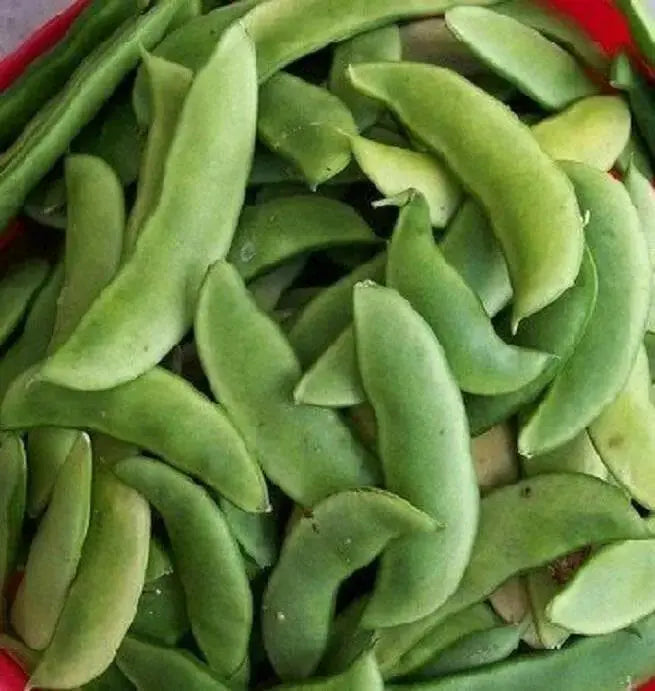 Bean Seeds (POLE Lima) Alabama Black Eye - Caribbean garden seed