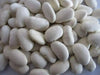 Bean Seeds (Bush Lima) - Burpee Improved - Caribbean garden seed