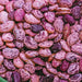 Bean Seeds (POLE Lima) Dixie butter pea - Caribbean garden seed