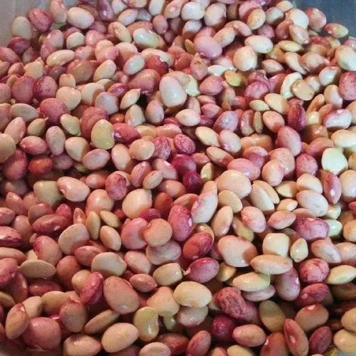 Bean Seeds (POLE Lima) Dixie butter pea - Caribbean garden seed