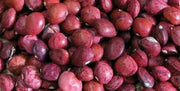 Bean Seeds (POLE Lima) Dixie butter pea - Caribbean garden seed
