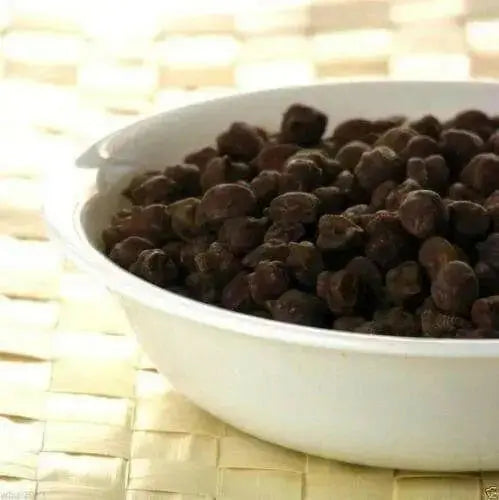 Bean Seeds - Black Garbanzo - Organic -Microgreen,Sprouting, Cover Crop Seeds - Caribbean garden seed