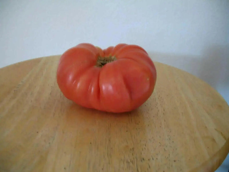 BEEFSTEAK Tomato (LIVE PLant) Heirloom VEGETABLE - Caribbean garden seed