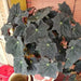 Begonia Black Velvet ( 3 PLANTS) Fragrant BLOOM , HOUSEPLANT - Caribbean garden seed