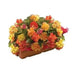 BEGONIA CASCADE ORANGE ( 3 Bulbs) Fragrant BLOOM - Caribbean garden seed