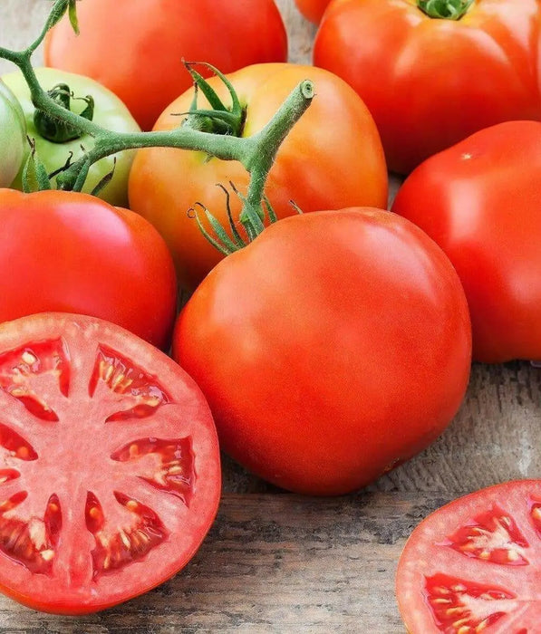 Big Beef Tomato Seeds (F1 Hybrid) ALL-AMERICA SELECTIONS AWARD - Caribbean garden seed