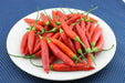 Birgits Locoto - Chili Pepper Seeds, Capsicum Baccatum - Caribbean garden seed
