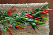 Bird's eye chili,"prik kee noo"( Capsicum annuum )Asian Vegetable - Caribbean garden seed