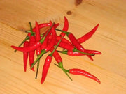 Bird's eye chili,"prik kee noo"( Capsicum annuum )Asian Vegetable - Caribbean garden seed
