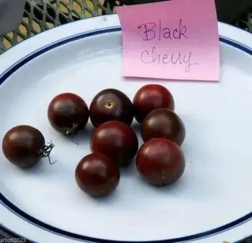 BLACK CHERRY TOMATO SEEDS, HEIRLOOM VEGETABLE.. - Caribbean garden seed