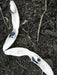 Black Calypso BUSH BEAN, Yin/Yang - Caribbean garden seed