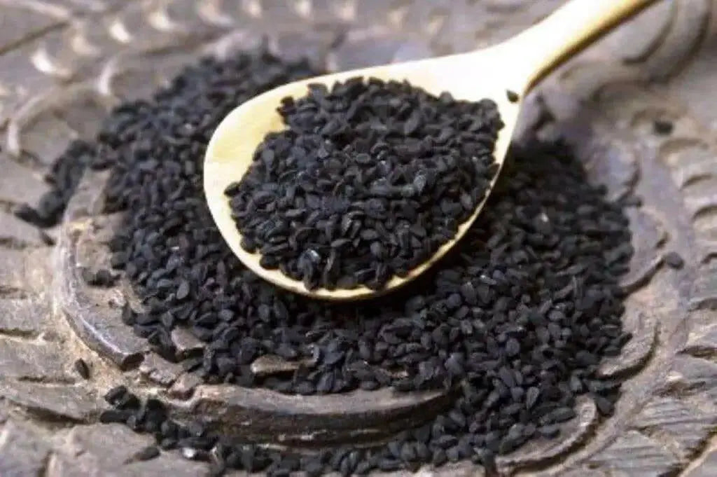 Black Cumin Plant Seeds (Nigella Sativa) -Organic ! - Caribbean garden seed