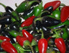 Black Hungarian Hot Pepper SEEDS- Capsicum annum - Caribbean garden seed