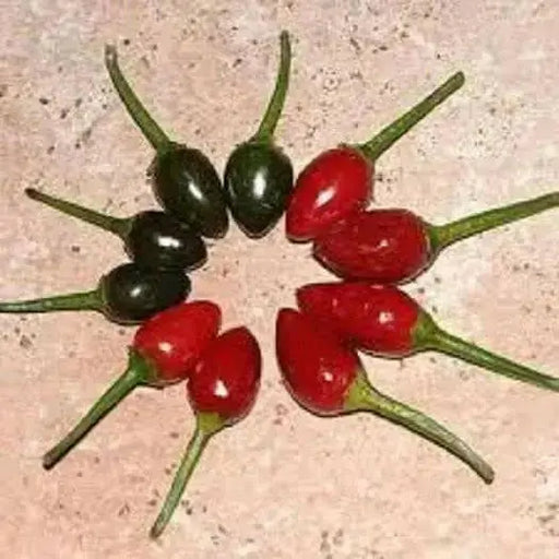 Black Pequin Chilli/Chili- Pepper Seed, (Capsicum Annum) VERY HOT - Caribbean garden seed