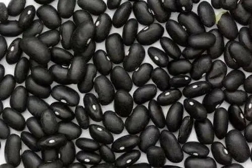 Black Turtle Beans, Half Runner - Caribbean garden seed