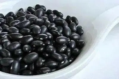 Black Turtle Beans, Half Runner - Caribbean garden seed
