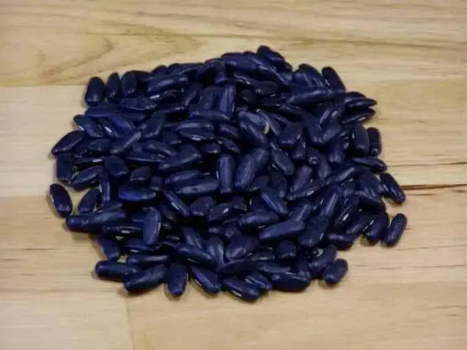 BLACK VALENTINE bean - Bush BEAN, annual vegetable - Caribbean garden seed
